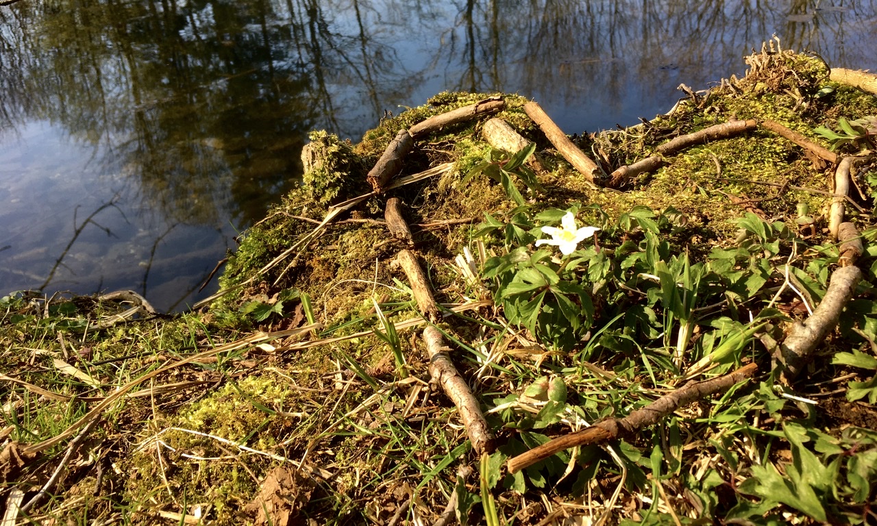 Natur erleben